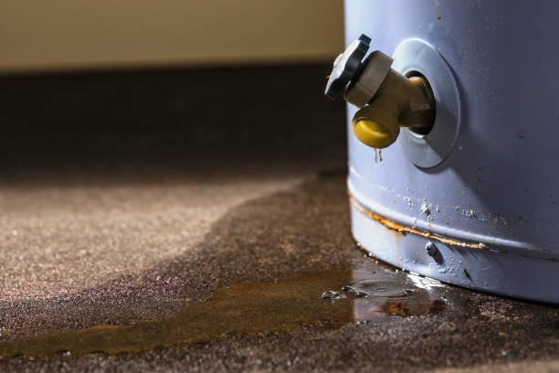 Water damage restoration mold remediation in Cold Spring, NY
