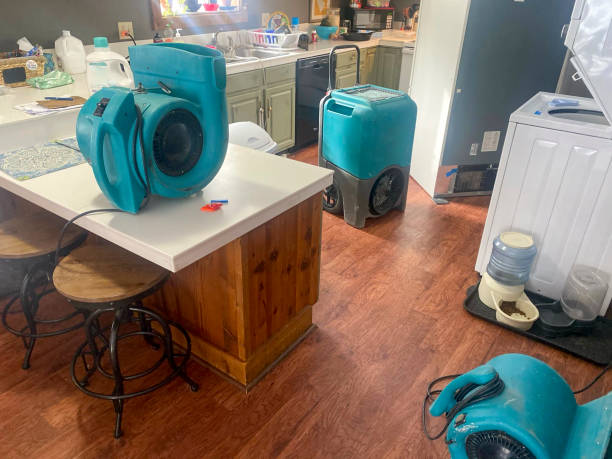 Water damage restoration experts in Cold Spring, NY