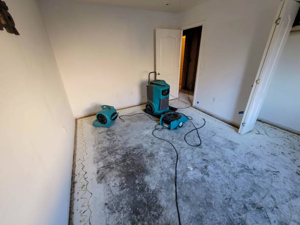 Best Mold removal after water damage  in Cold Spring, NY