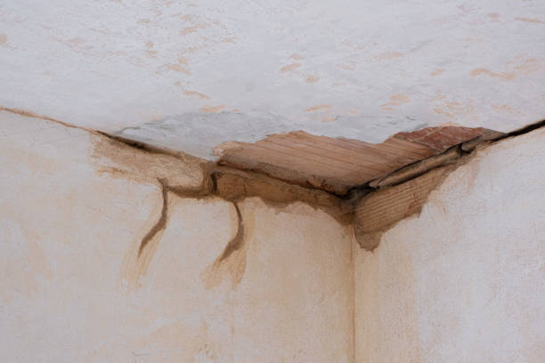 Best Carpet water damage restoration  in Cold Spring, NY