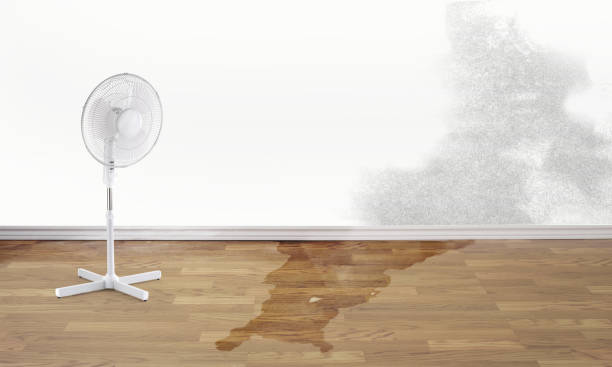 Best Flooded house restoration  in Cold Spring, NY