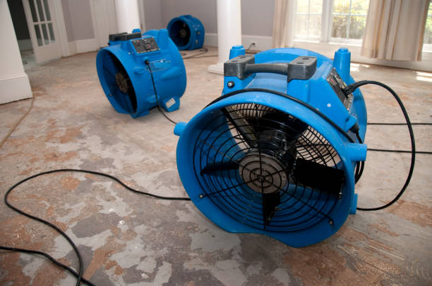 Best Ceiling water damage repair  in Cold Spring, NY