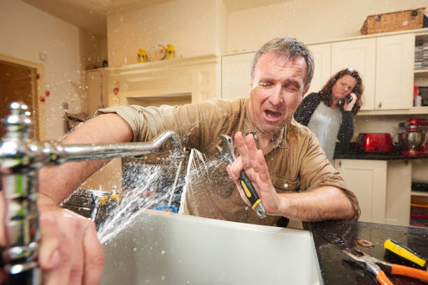 Best Mold removal after water damage  in Cold Spring, NY